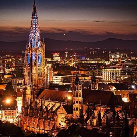 Deluxe Apartment Flamingo In Paradise Freiburg im Breisgau Ngoại thất bức ảnh