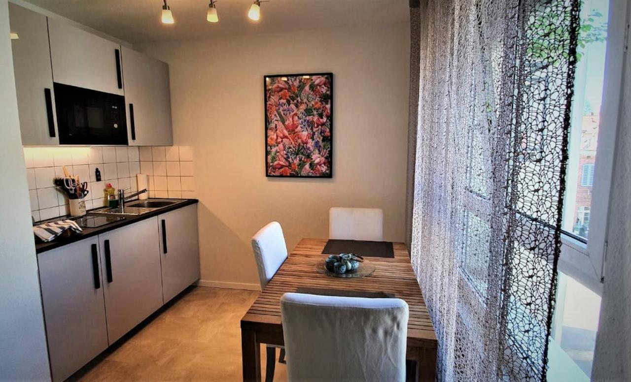 Deluxe Apartment Flamingo In Paradise Freiburg im Breisgau Ngoại thất bức ảnh