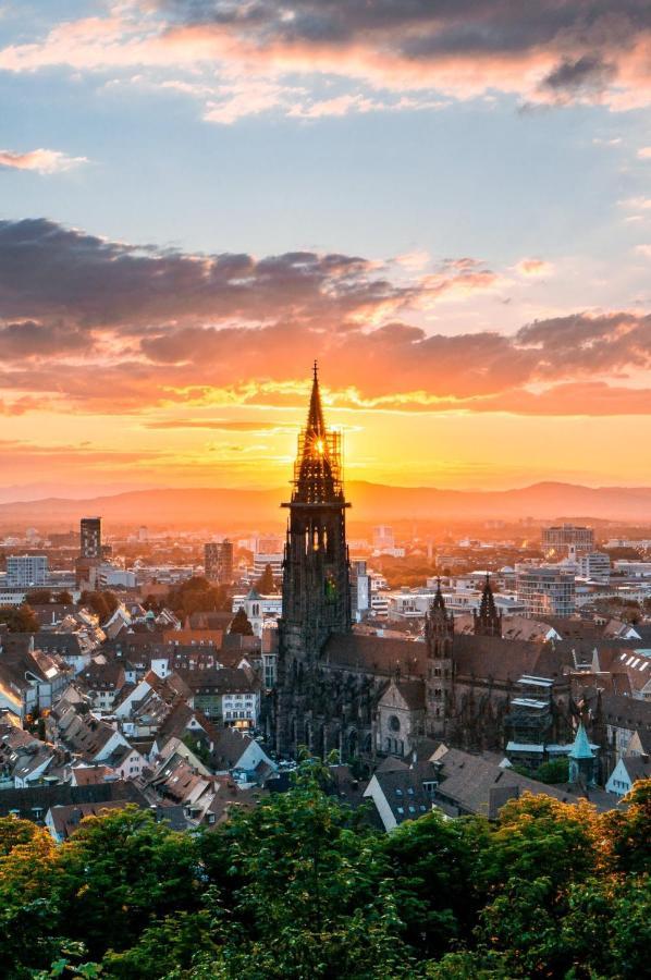 Deluxe Apartment Flamingo In Paradise Freiburg im Breisgau Ngoại thất bức ảnh